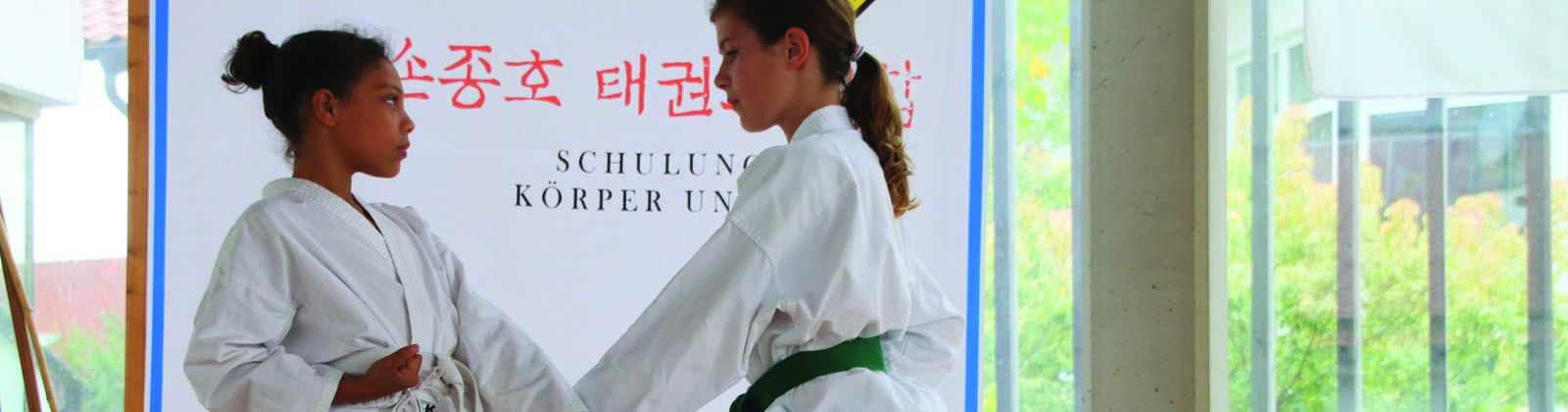 Taekwondo Puchheim Kampfkatzen